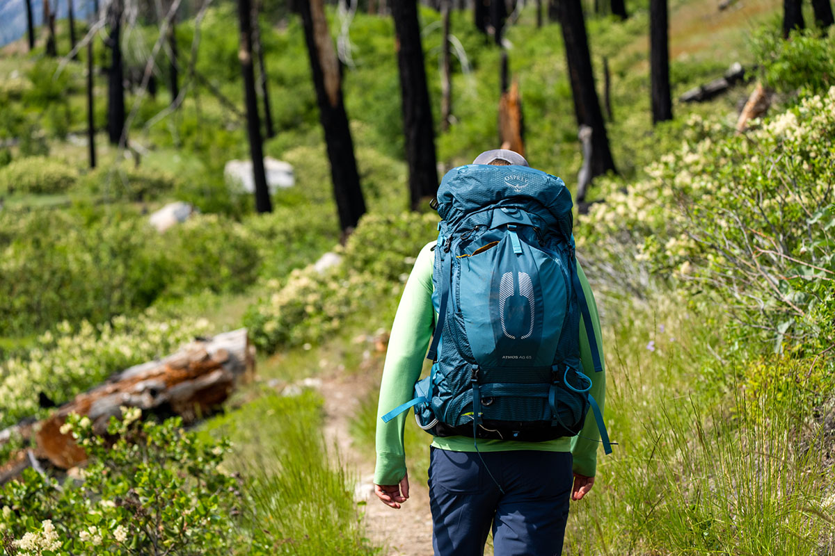 Osprey Atmos AG 65 Backpack Review | Switchback Travel